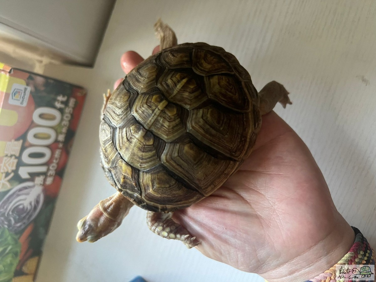 WhatsApp Image 2022-07-23 at 12.06.22 AM (1).jpeg