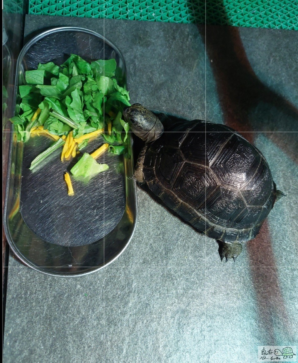 Screenshot_20220830-020039_Photo Editor.jpg