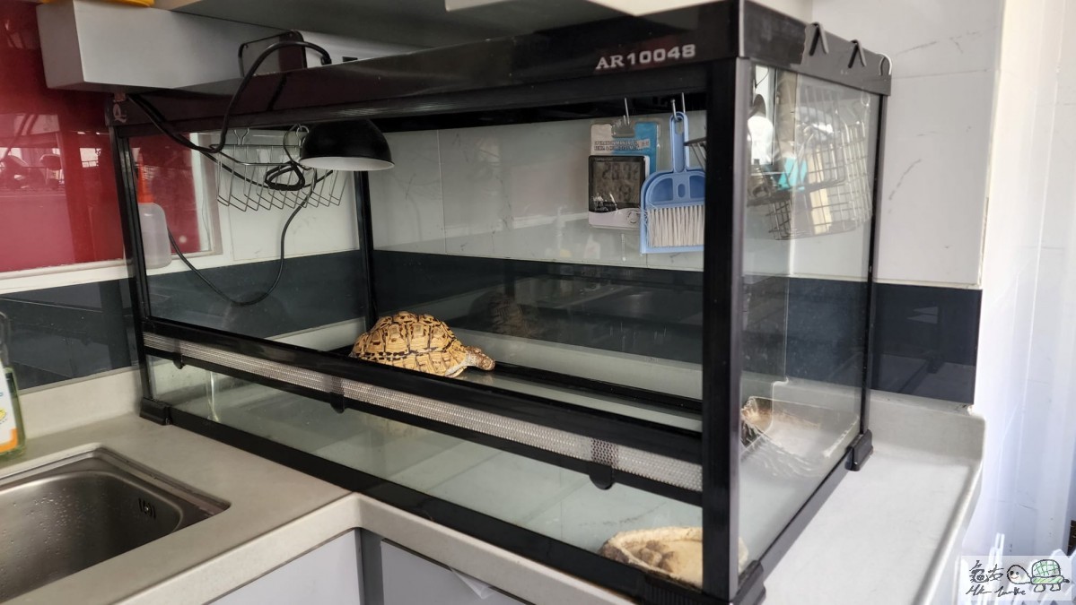 龜缸 100L x 48W x 50Hcm.jpeg