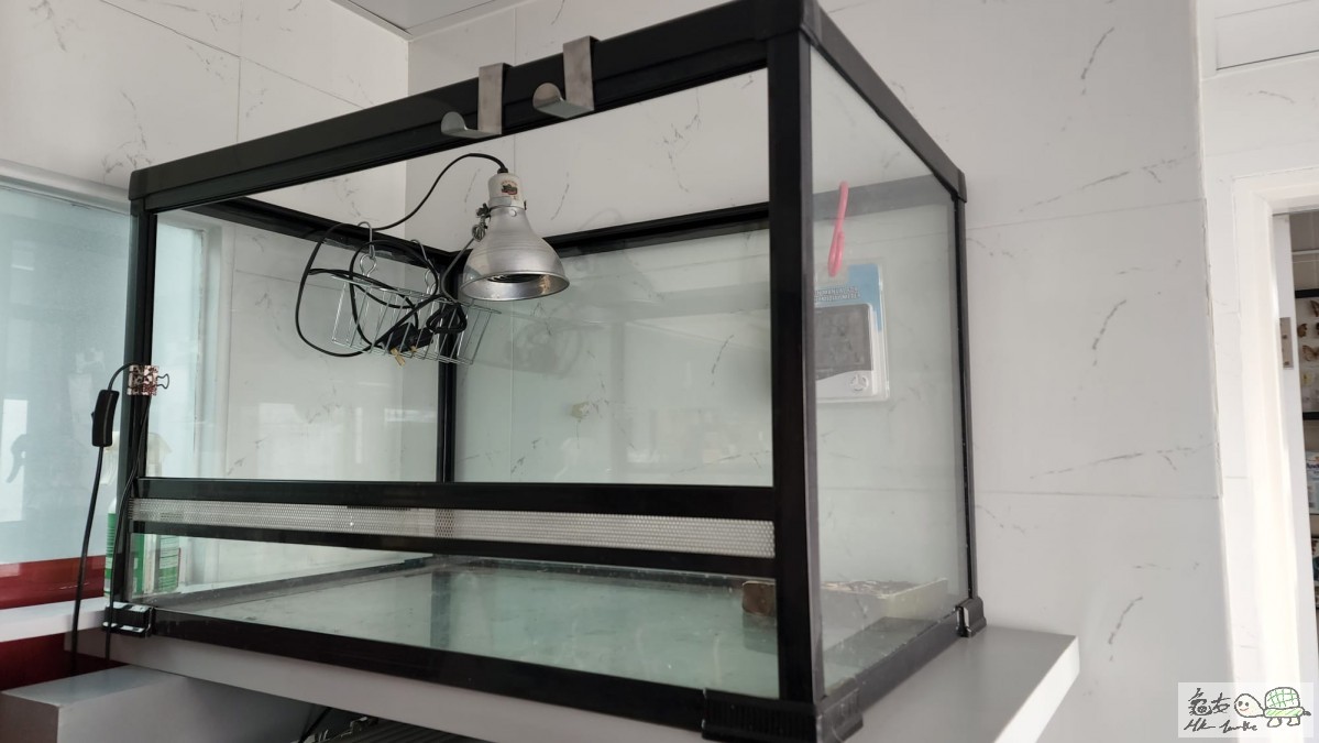 龜缸 80L x 49W x 50Hcm.jpeg