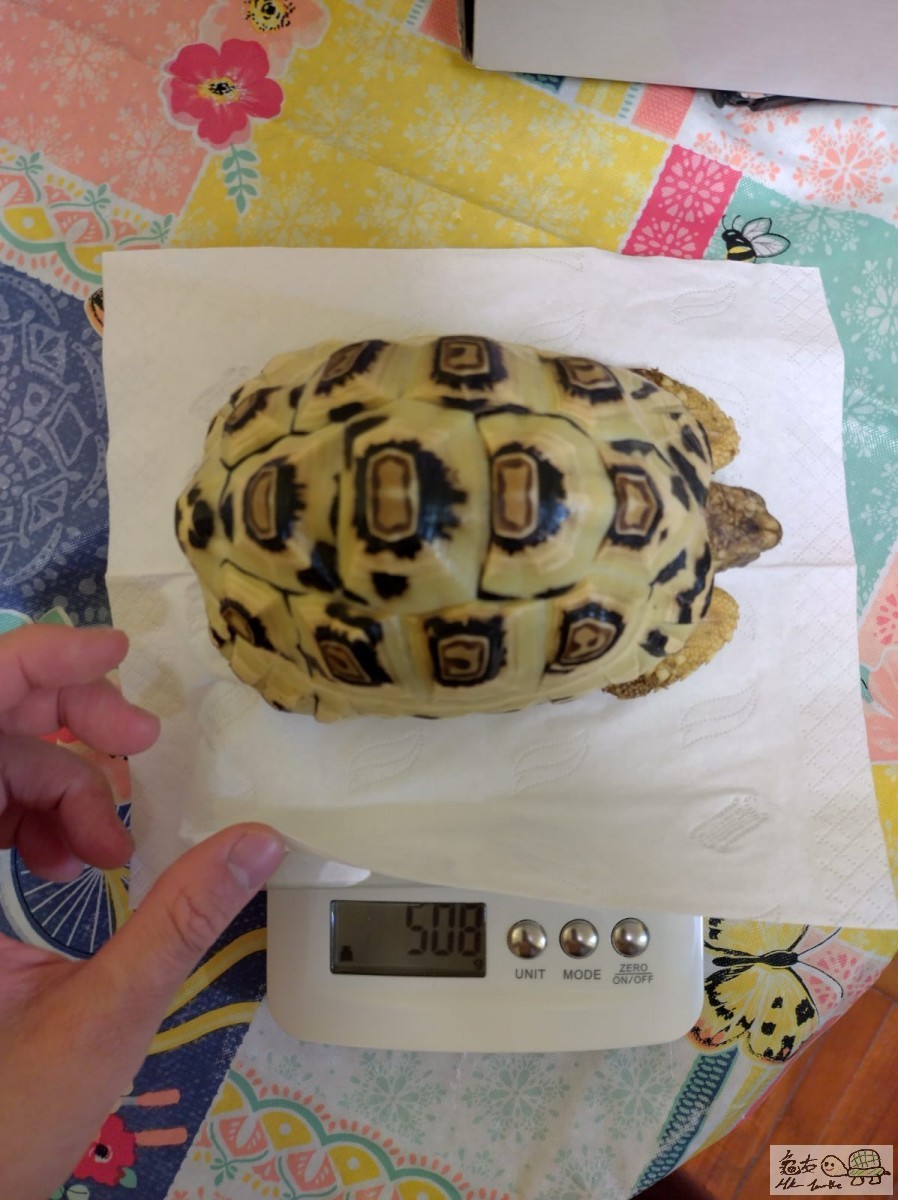 WhatsApp Image 2022-11-01 at 23.51.09 (1).jpeg