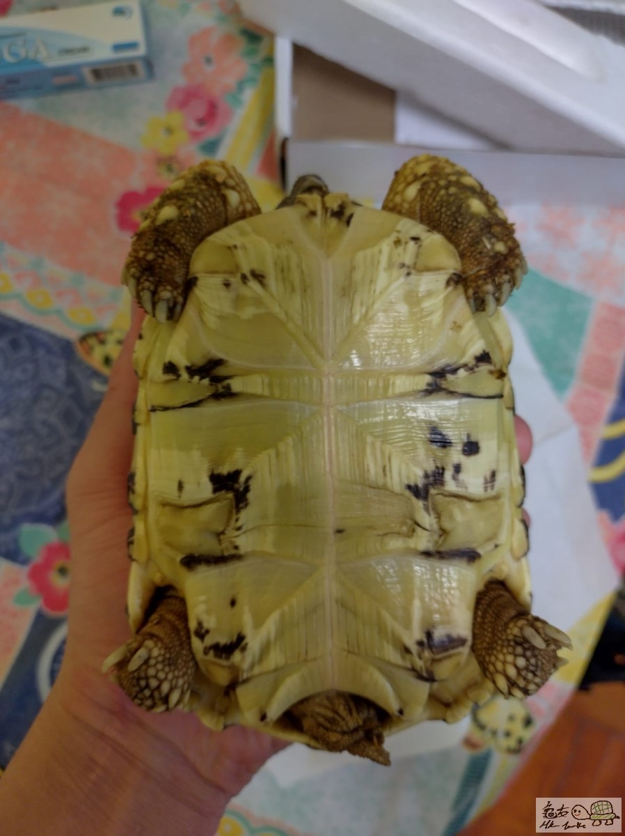 WhatsApp Image 2022-11-01 at 23.51.09.jpeg