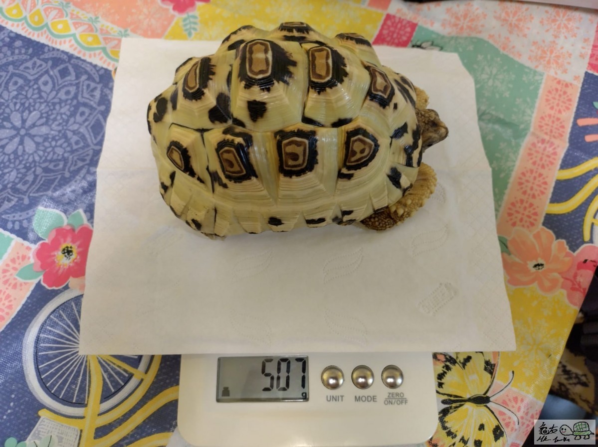 WhatsApp Image 2022-11-01 at 23.51.08.jpeg