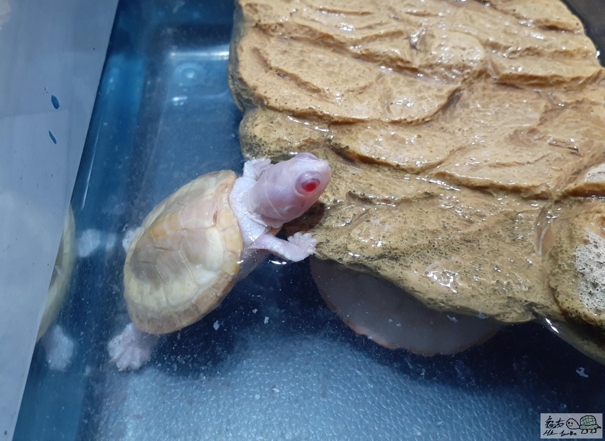 WhatsApp Image 2022-11-04 at 10.34.32.jpeg