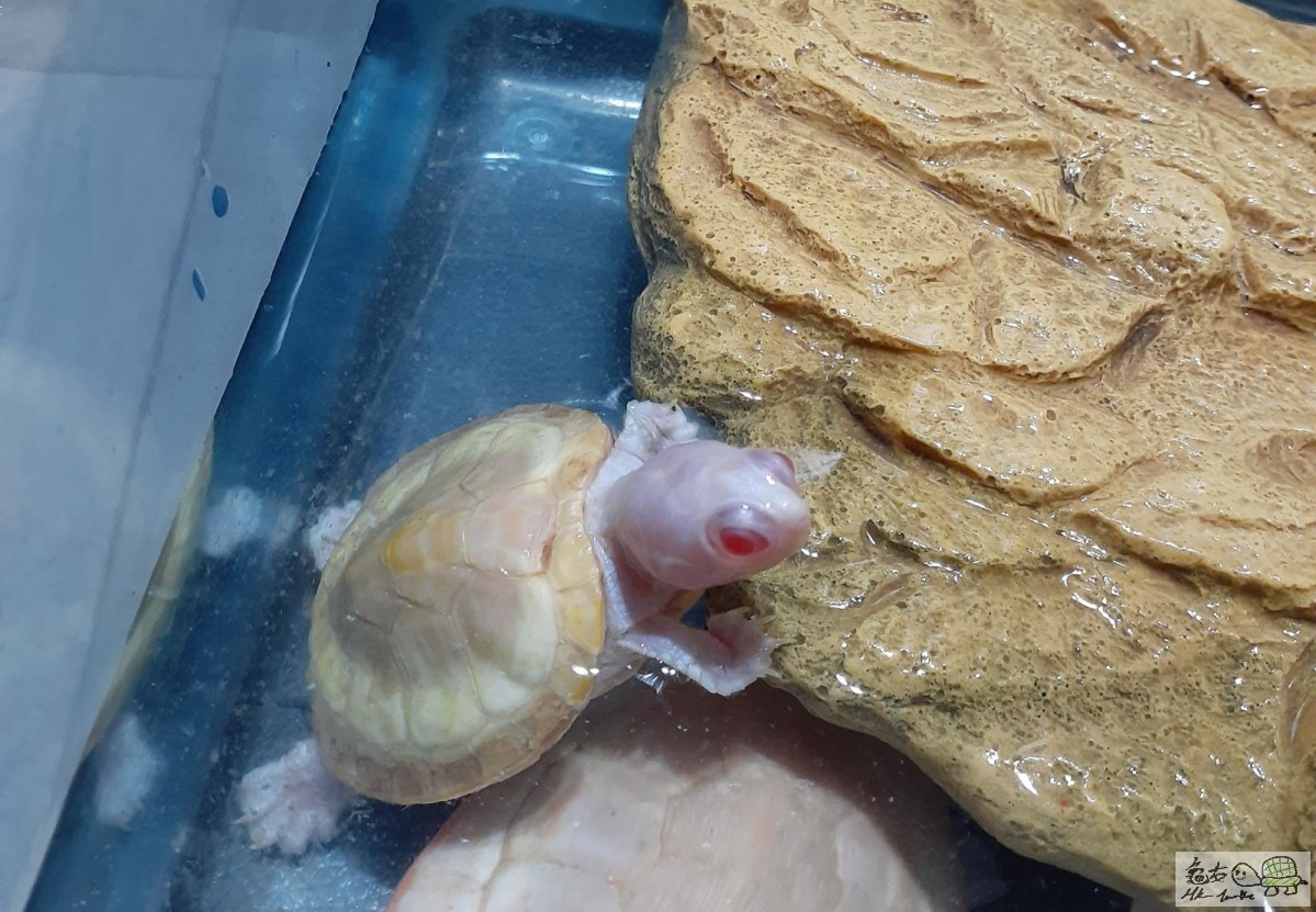 WhatsApp Image 2022-11-04 at 10.34.32 (1).jpeg