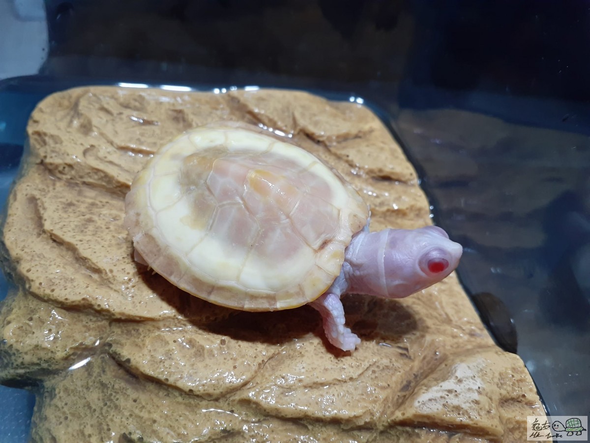 WhatsApp Image 2022-11-04 at 10.34.33 (1).jpeg