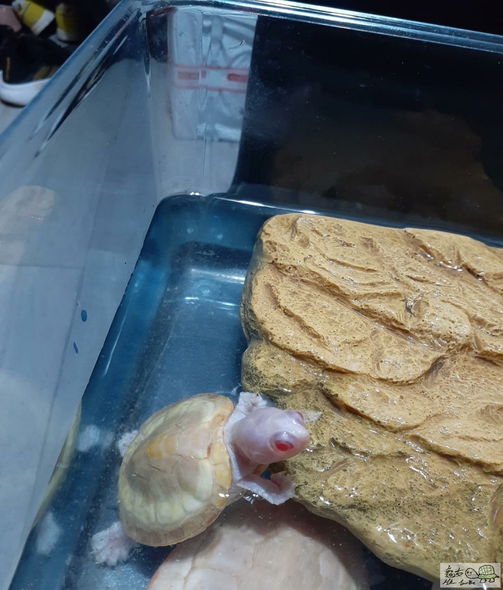 WhatsApp Image 2022-11-04 at 10.34.33.jpeg