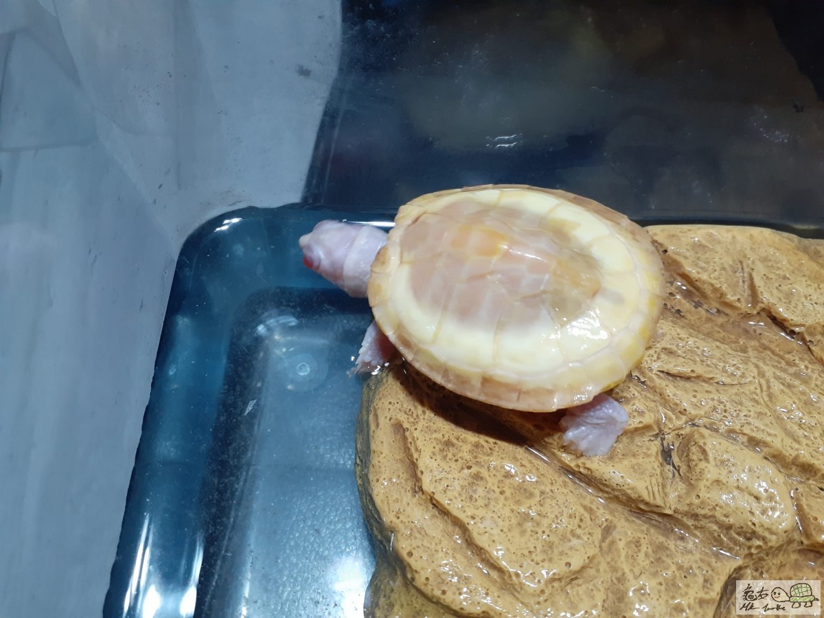 WhatsApp Image 2022-11-04 at 10.34.34 (1).jpeg