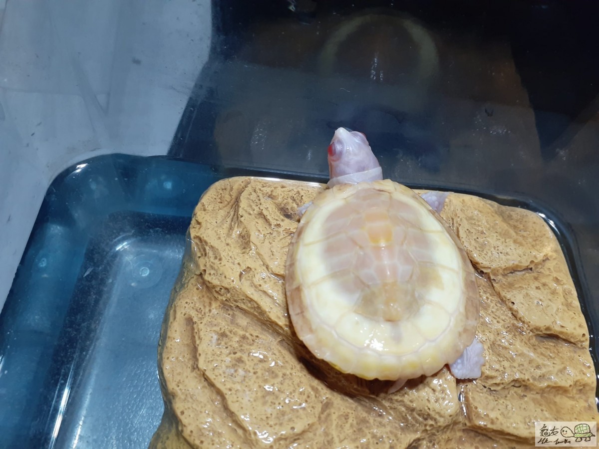 WhatsApp Image 2022-11-04 at 10.34.34.jpeg