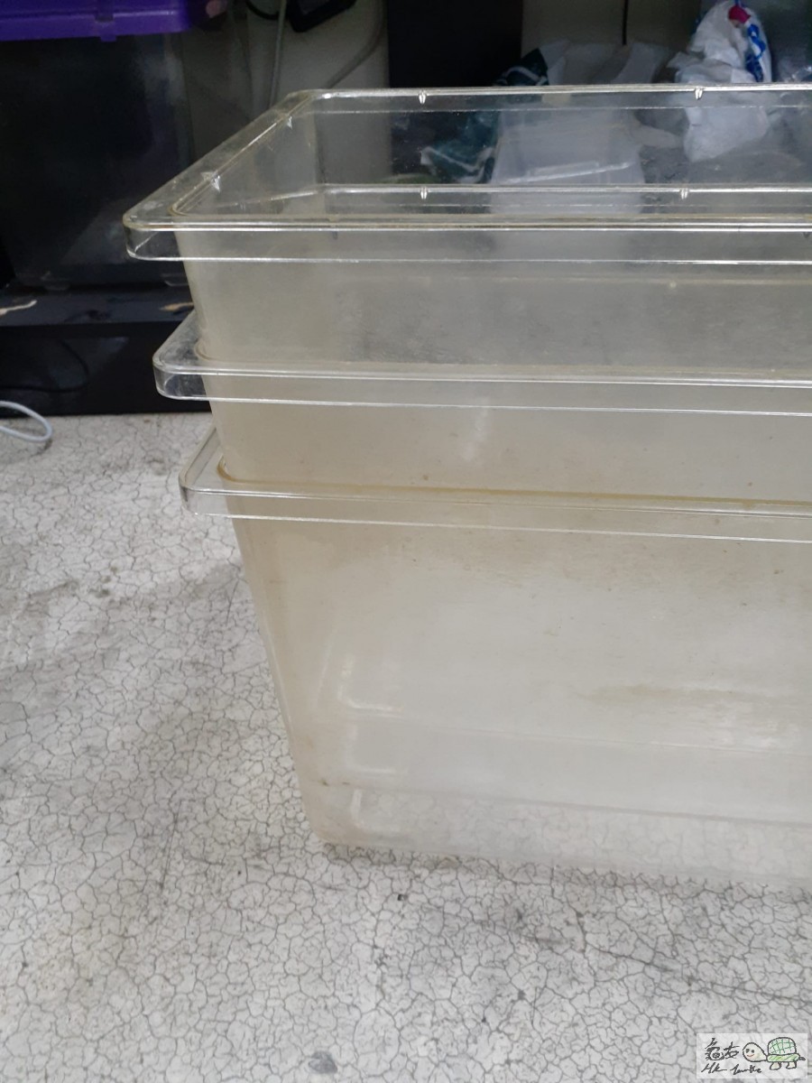 WhatsApp Image 2022-11-05 at 11.55.40.jpeg